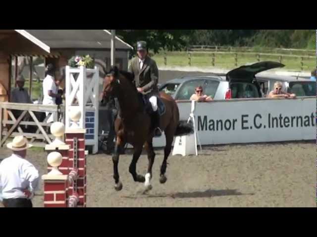 Euro Sport Horse - Showjumping Horses